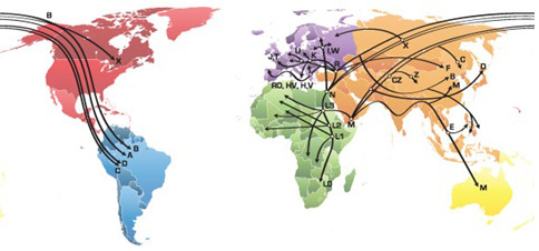 maternal lineage