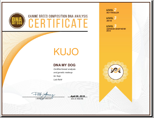 Easydna DNA My Dog Certificate